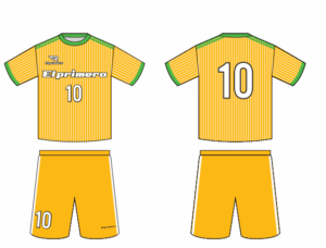 デザインユニフォーム – N13